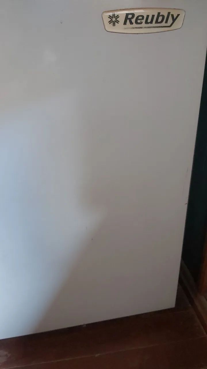 Freezer horizontal em ótimo estado.   Aceito troca em terneiros.  - Foto 3