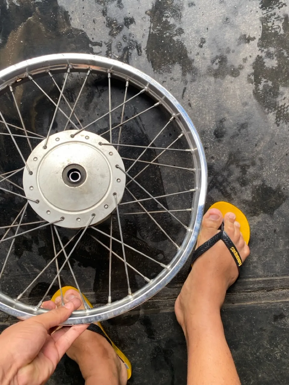 Roda da pop