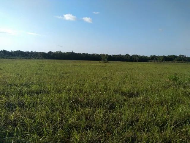 terreno