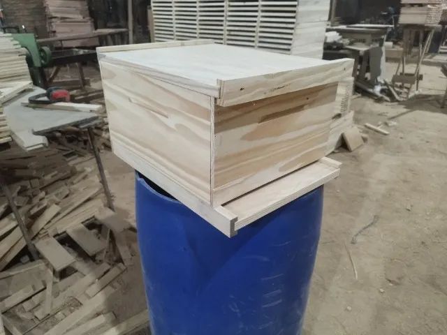 Caixa de abelha  - Foto 3