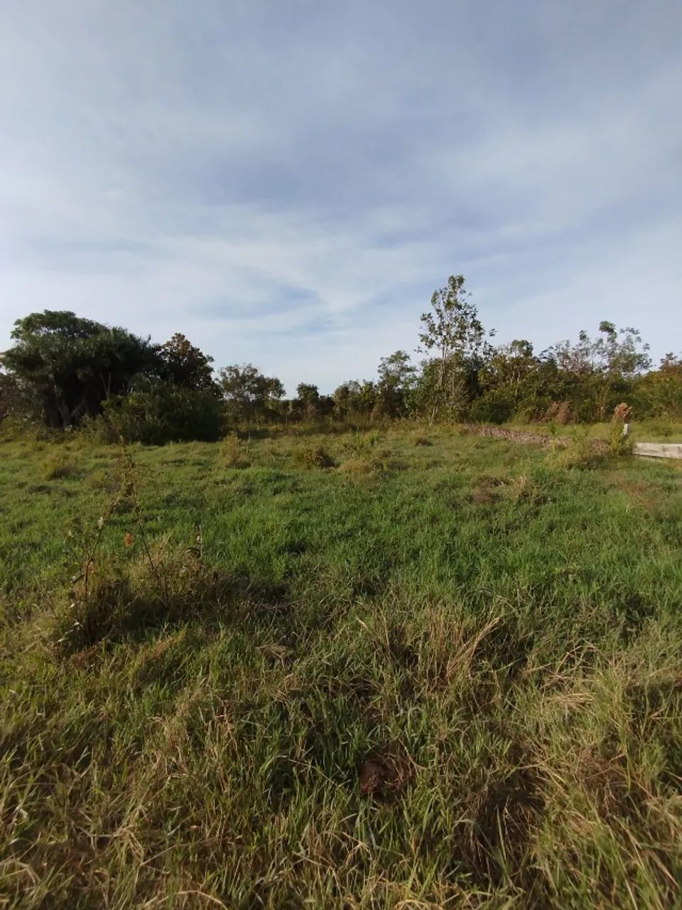 FAZENDA EM FORMOSO DO ARAGUAIA - TO - Foto 3
