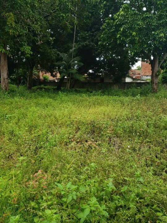 Alugo Terreno com 1.600m² no Aleixo - R$ 10.000,00 - Foto 3