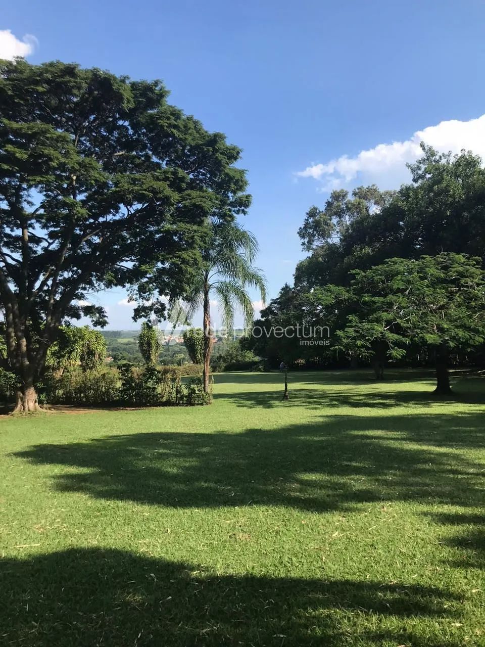 chácara - Jardim Santa Maria II - Campinas - Foto 3