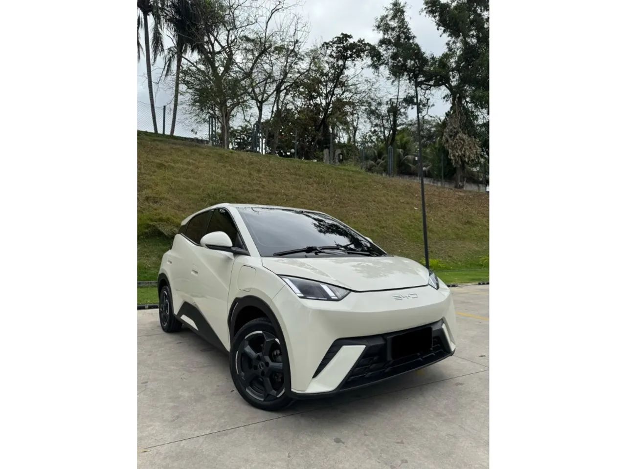 BYD Dolphin EV (Elétrico) 2024 - Foto 2