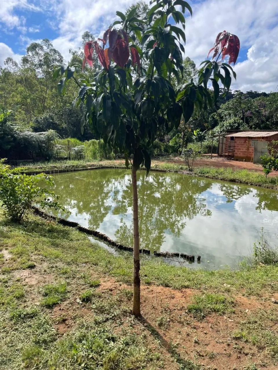 Vendo granja  Recanto da Cachoeira  - Foto 4