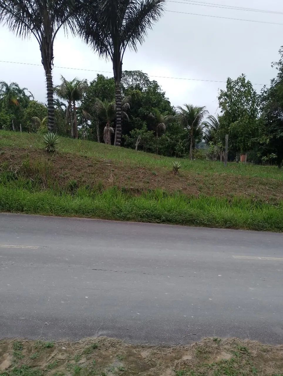 Vendo sítio Rio preto da Eva  - Foto 4