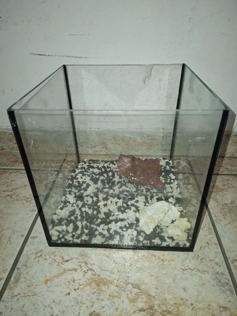 aquario