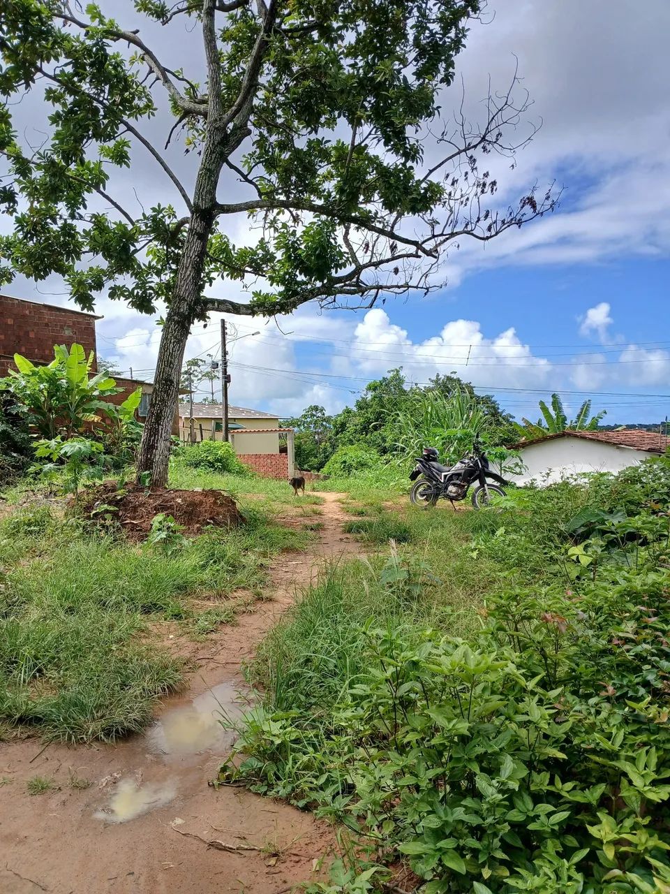 TERRENO GRANDE  - Foto 3