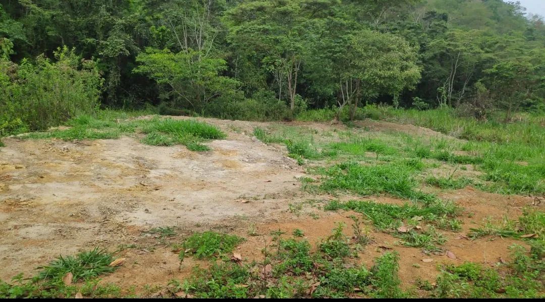 Itaipé chácara  - Foto 3