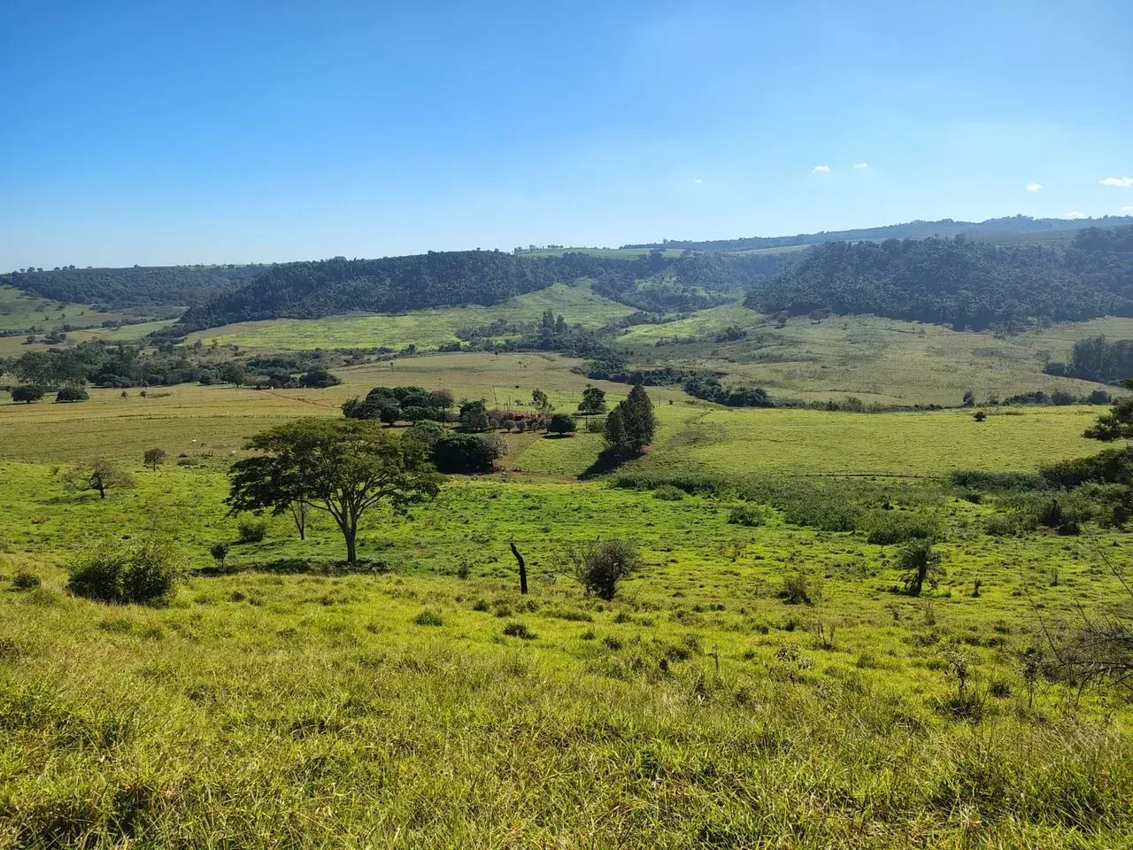 Fazenda ótima logística ,boi ,grãos etc - Foto 2