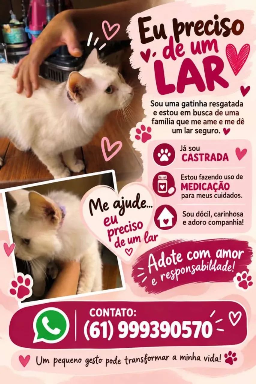 Preciso de um lar - Foto 3