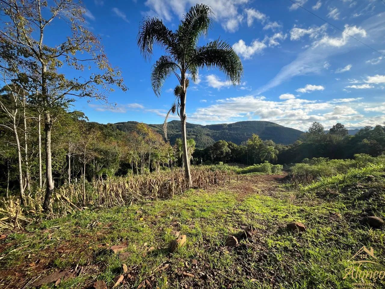 ÁREAS DE TERRA NO STILLE ECK EM NOVA PETRÓPOLIS RS REF: 1795 - Foto 2