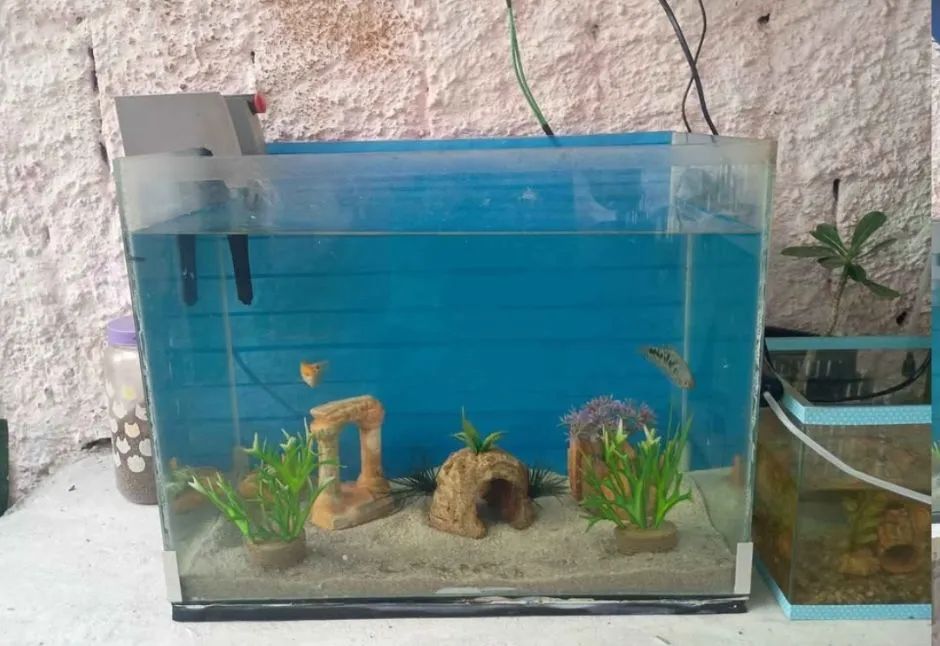 Aquário 50Lts 