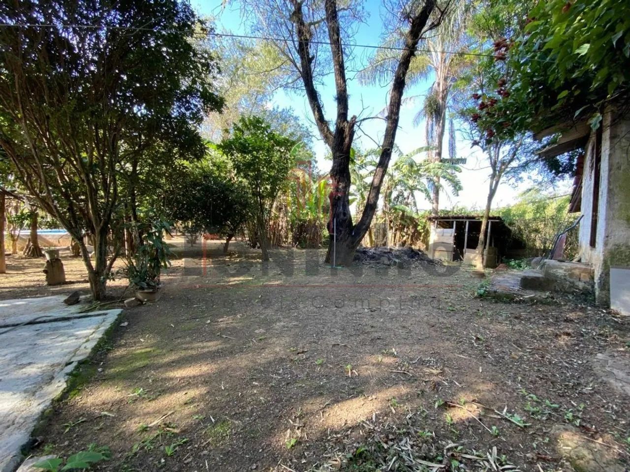 Chácara 3 dormitórios para venda em Holambra - SP - Foto 4