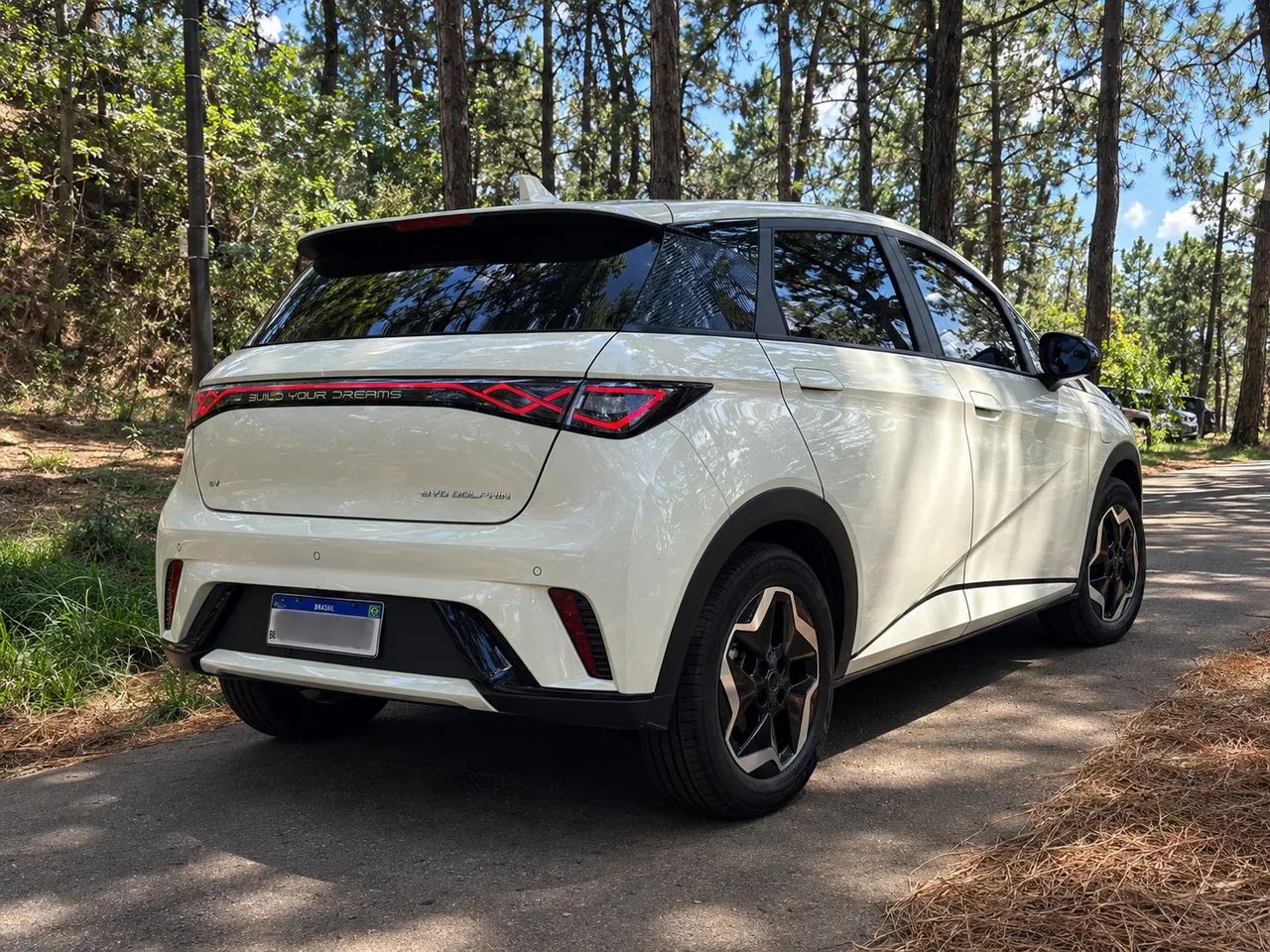 BYD Dolphin EV (Elétrico) 2024 - Foto 2