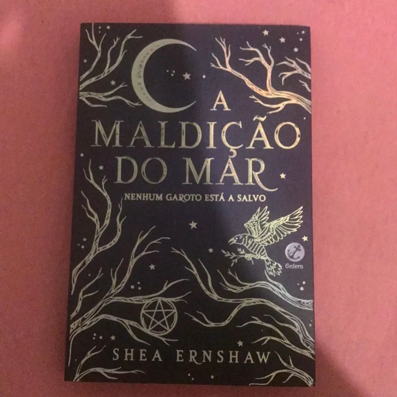 livro a maldição do mar
