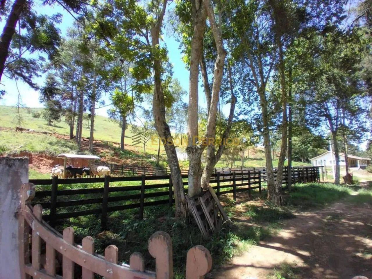 Sítio com 2 Quartos à Venda - Lagoinha - Foto 2