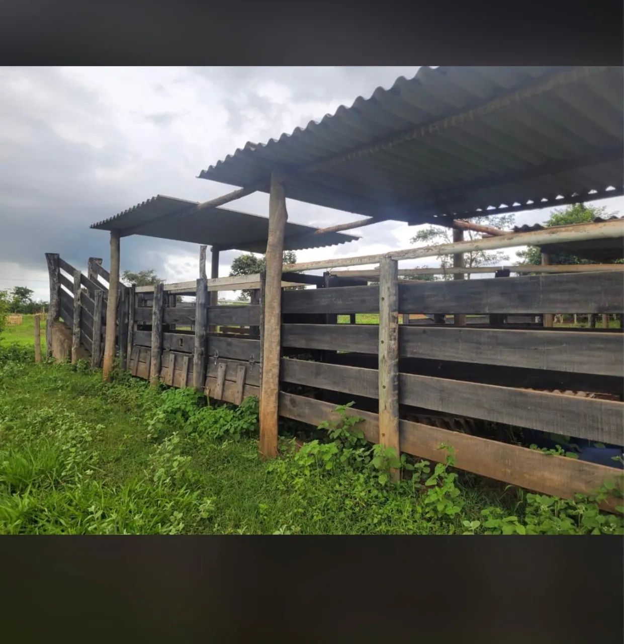 Sítio  a venda próximo Uberlândia 1.200.000,00