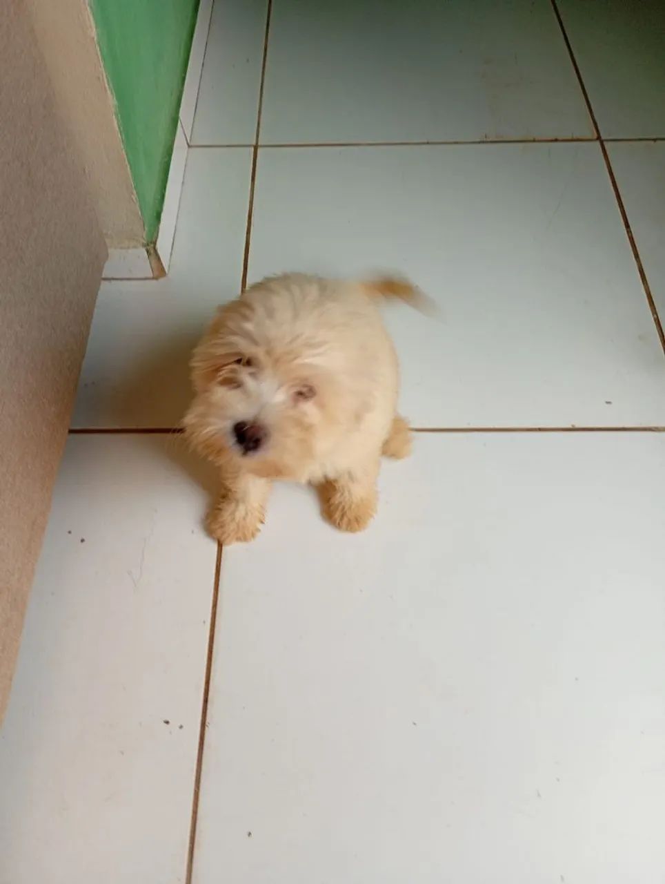 Vendo  - Foto 4