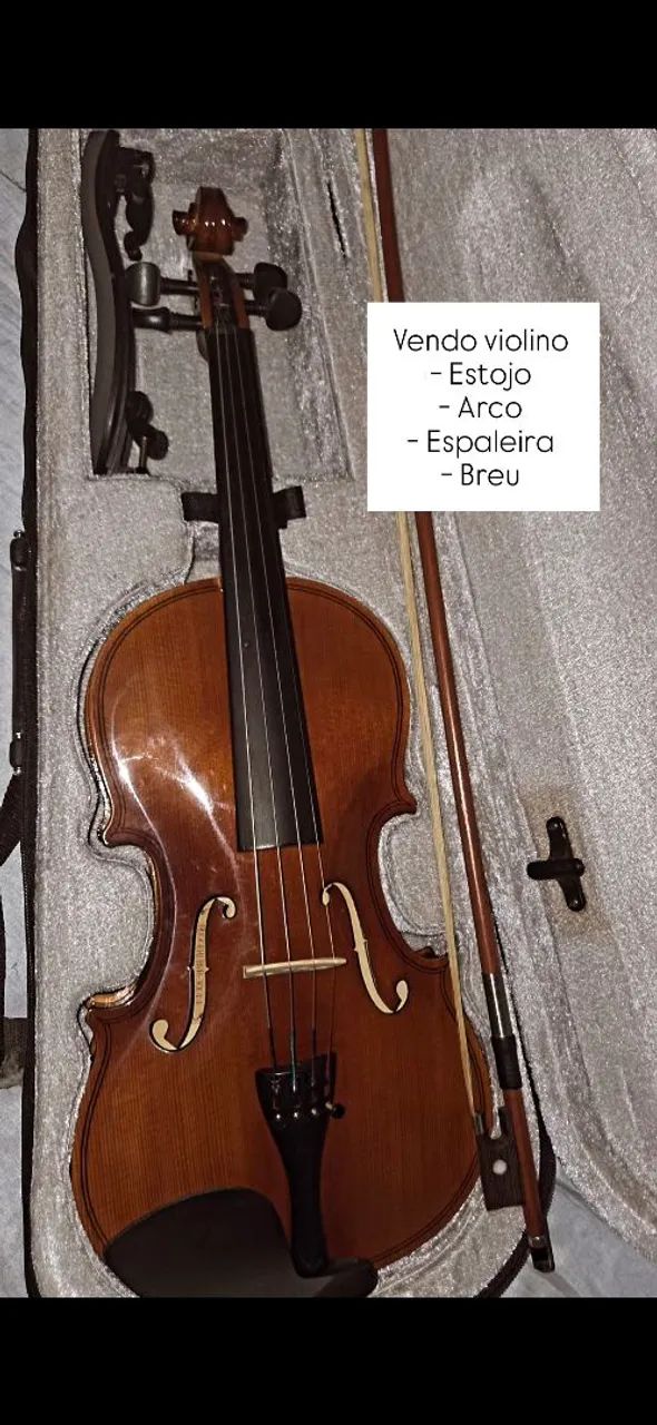 Violino