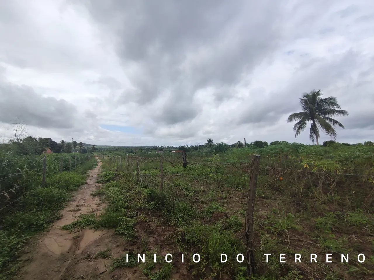 TERRENO DE 13 TAREFAS EM SALGADO/SE - Foto 2