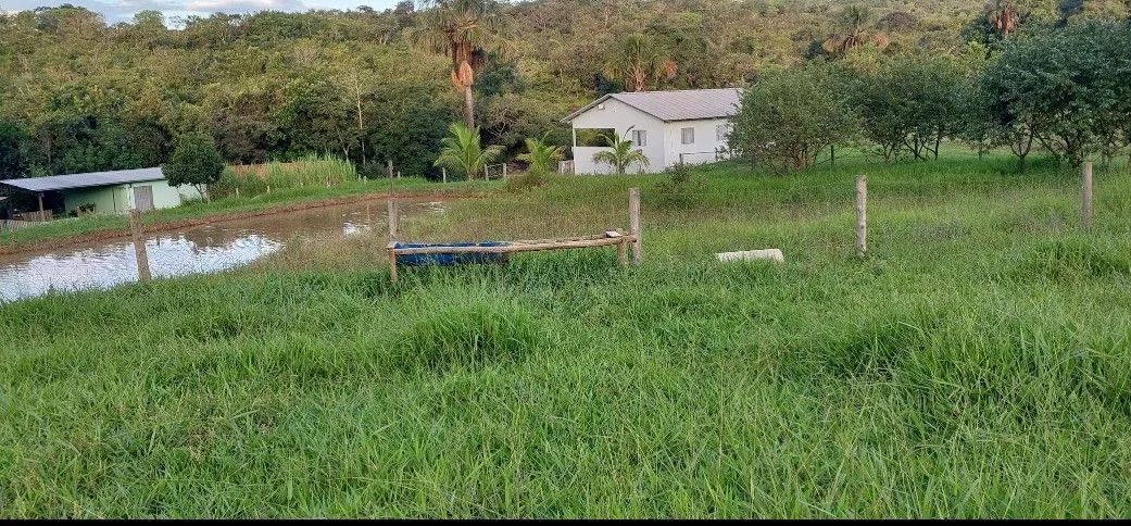 Chácara 20.000 escriturada - Foto 2