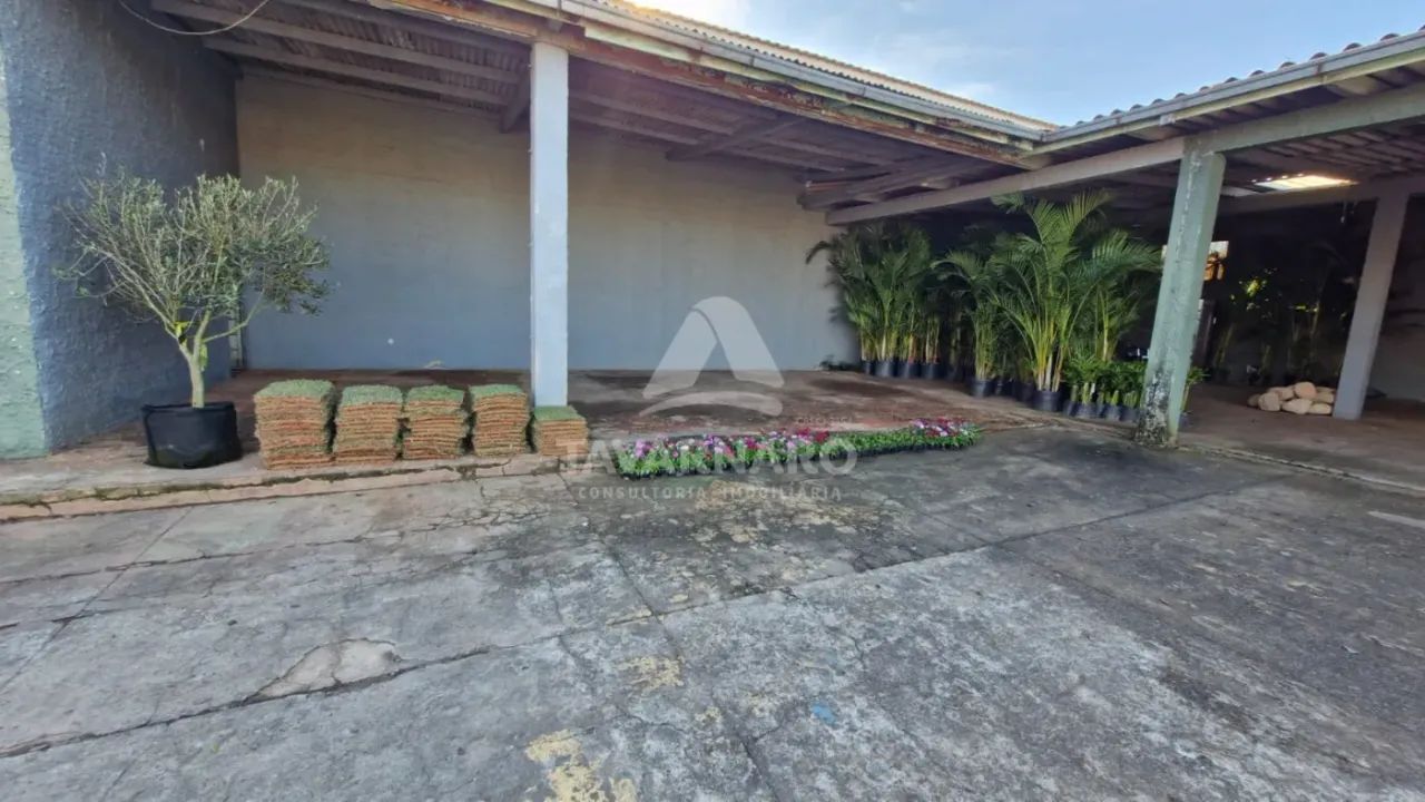 Comercial Loja em Ponta Grossa - Foto 4