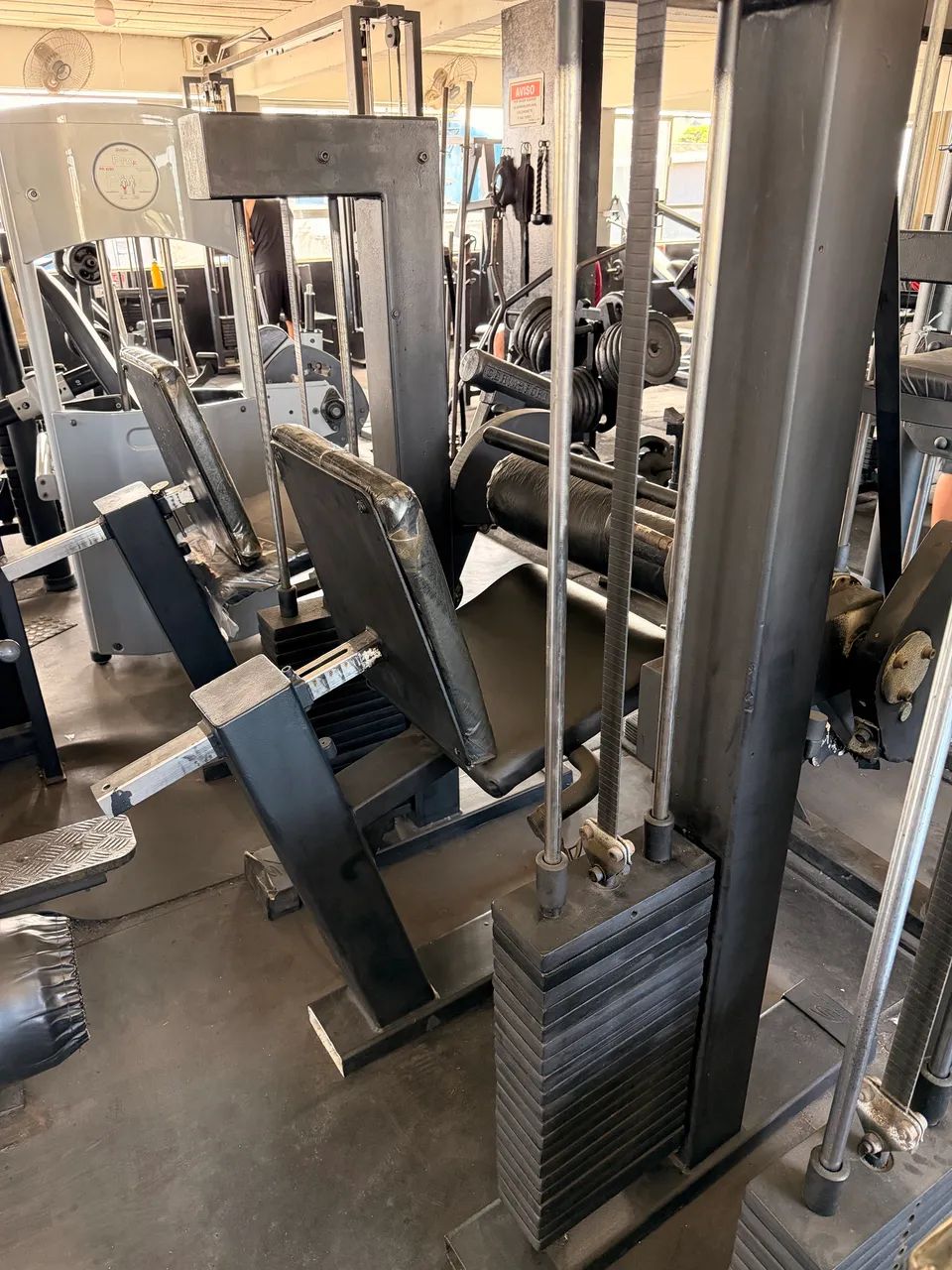 Cadeira flexora GERVA SPORT