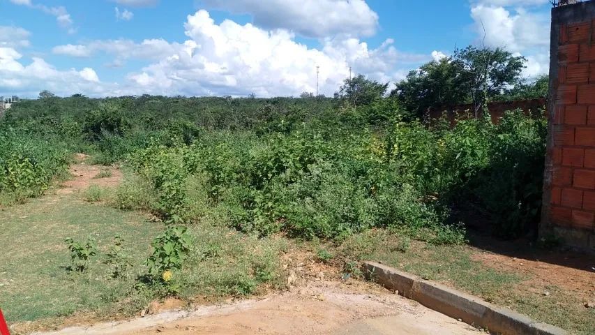 Foto - Montes Claros - Nova América