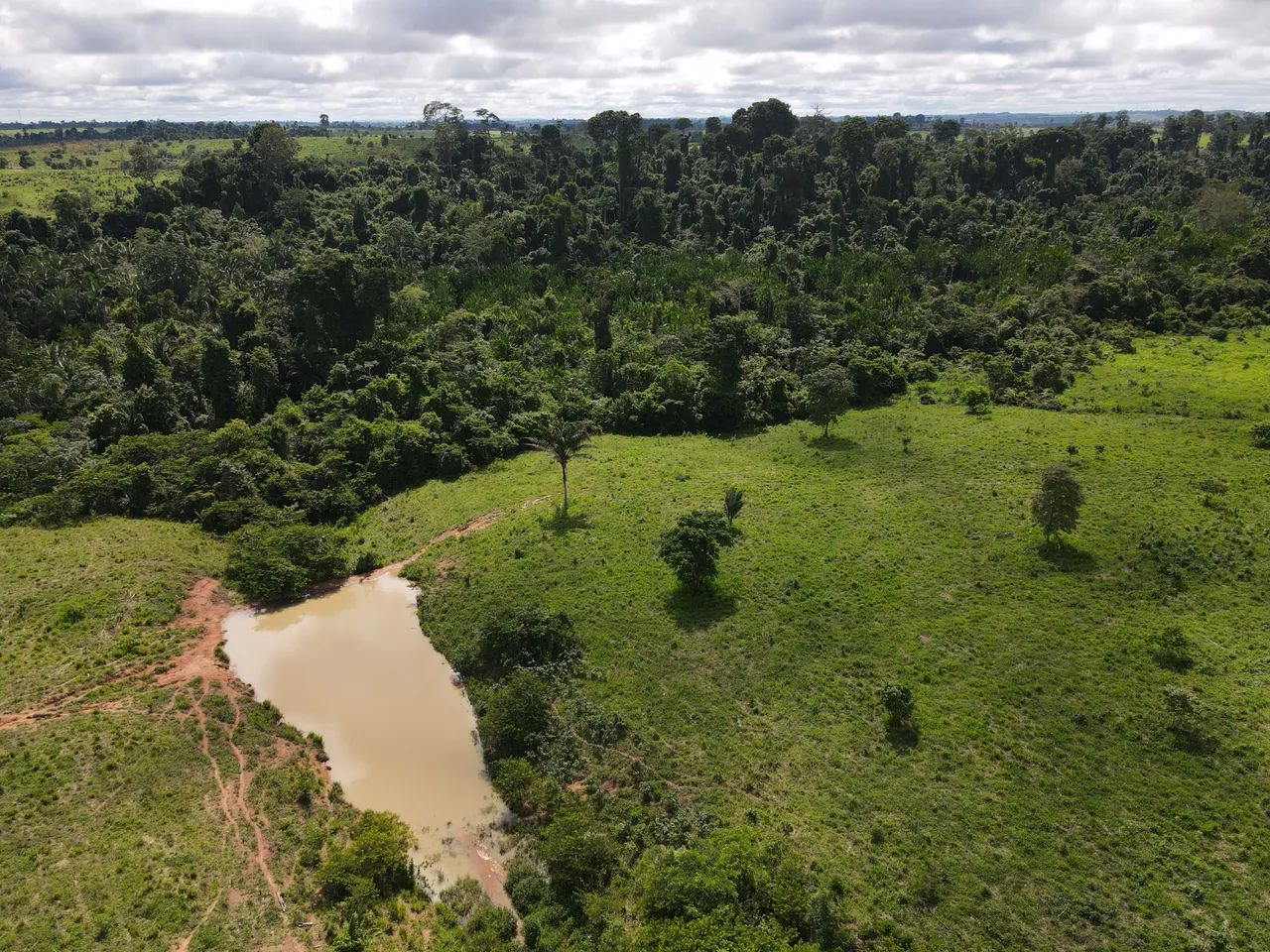 Fazenda 53 alqueires  - Foto 2