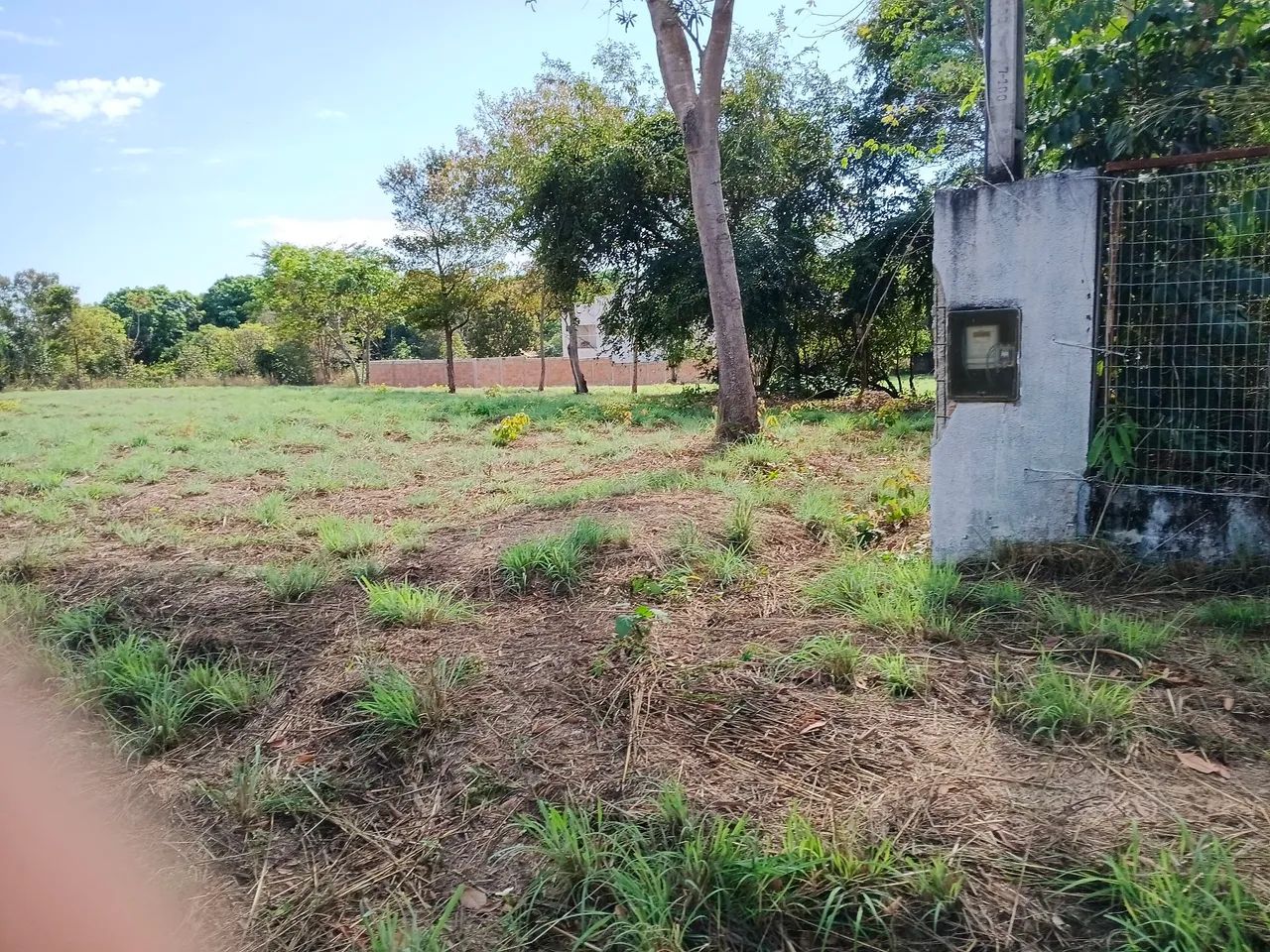 Terreno  - Foto 2