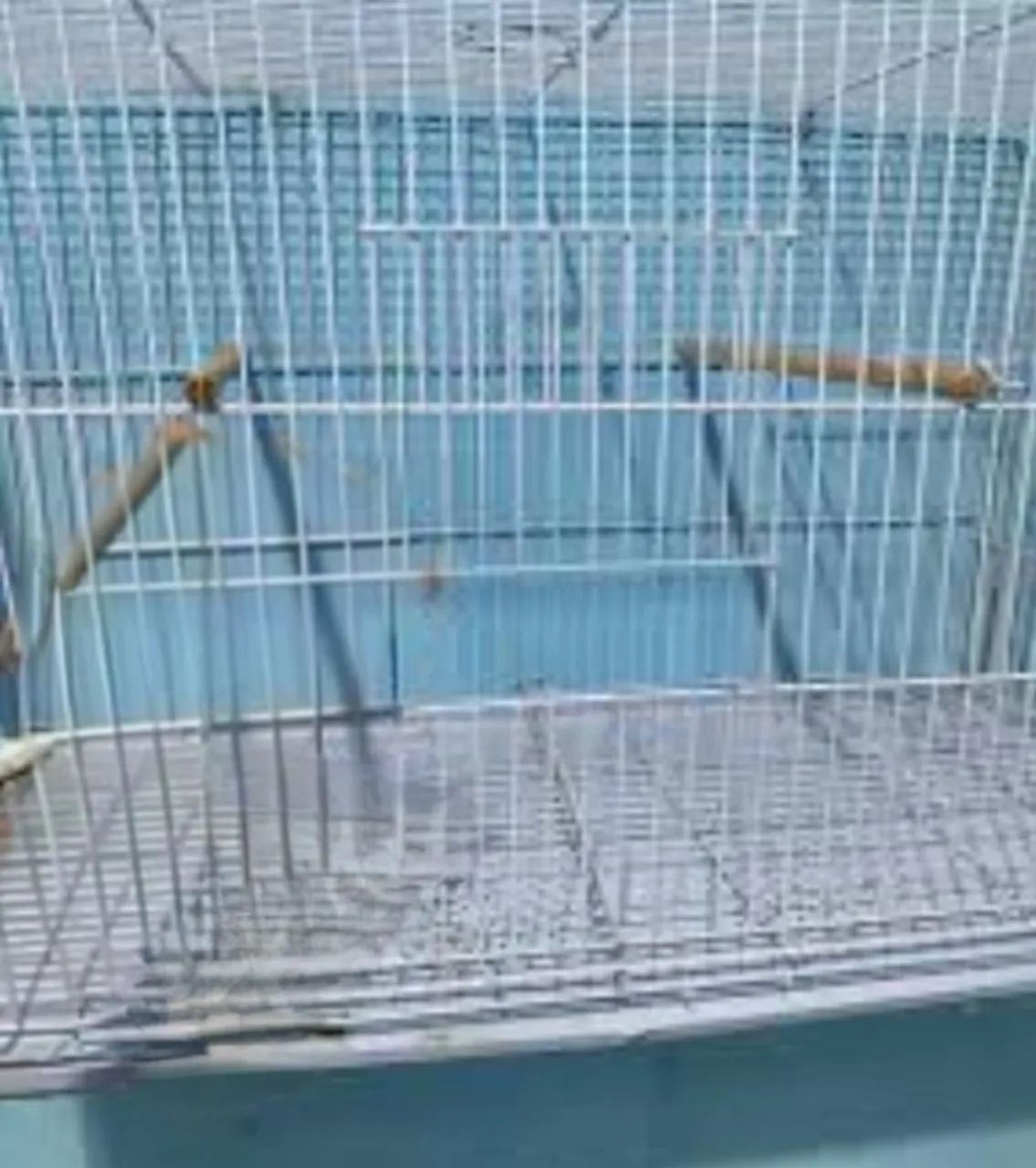 Gaiola para Pássaros e Calopsitas 