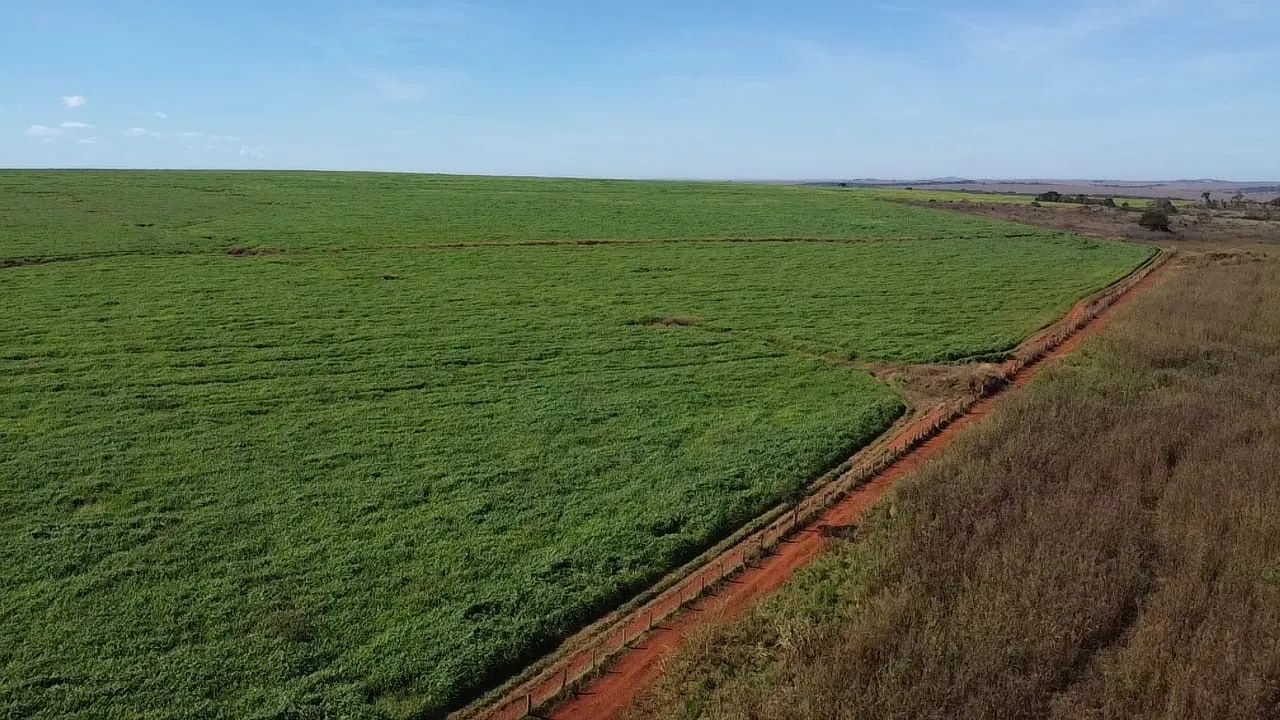Fazenda em Doverlândia-go  - Foto 5