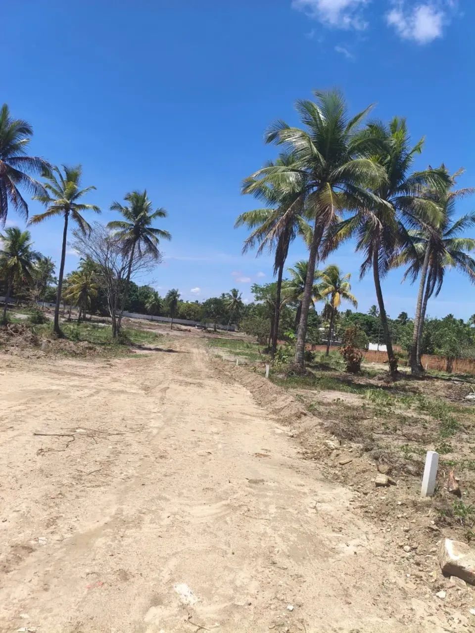 Terrenos para sitio prox. a Nova Cruz - Igarassu (parcelado)
