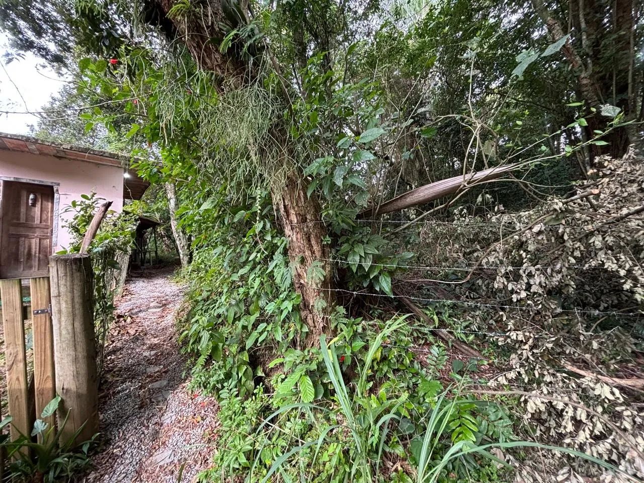 Terreno à venda no Canto da Lagoa - Foto 5