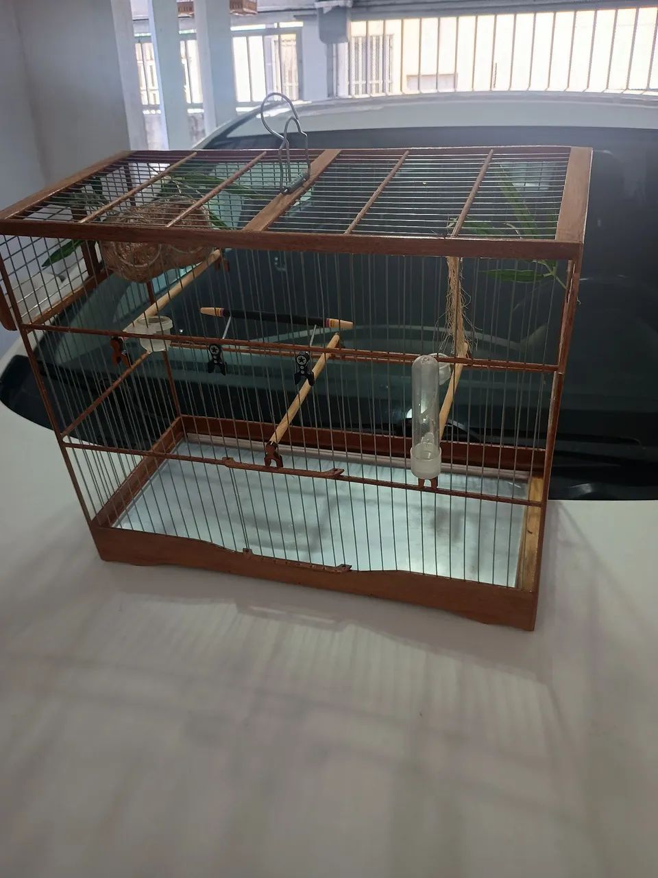Animais e acessórios  - Foto 3