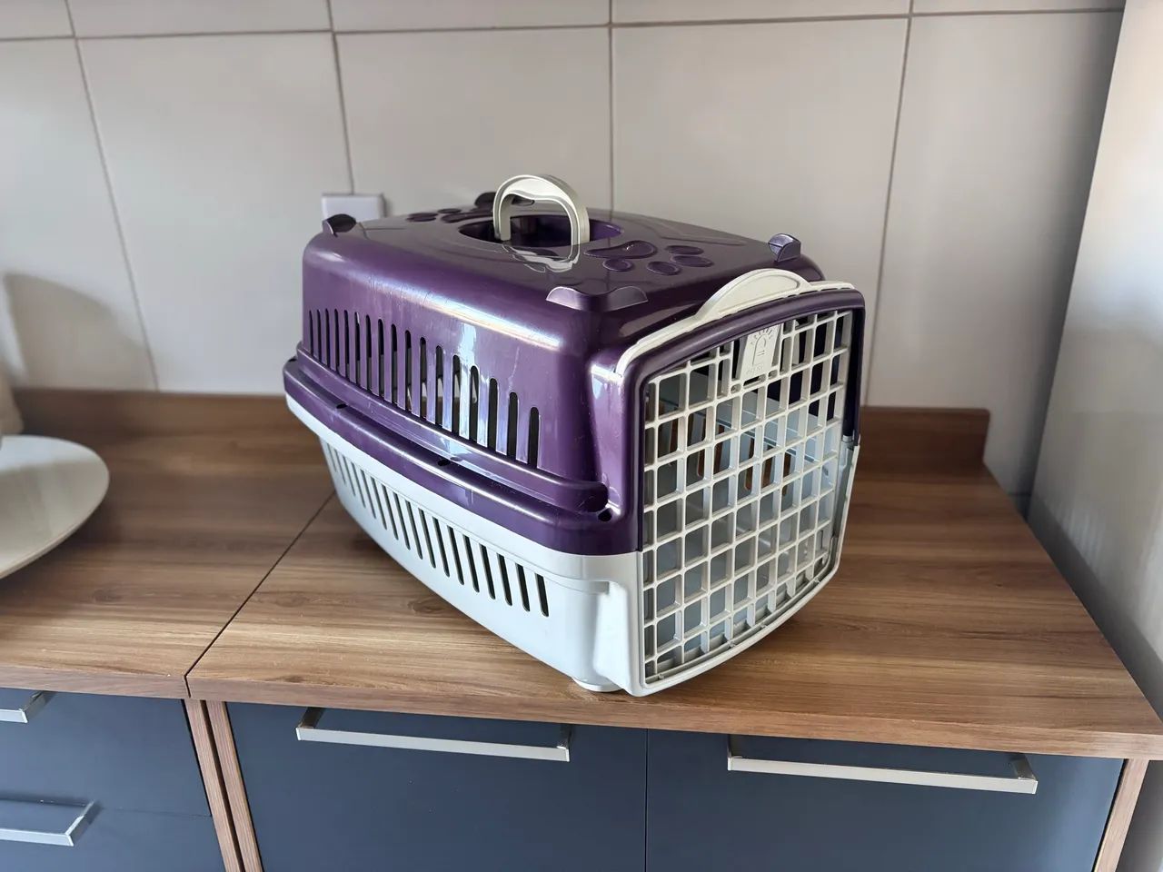 Caixa de transporte Pet - Foto 3