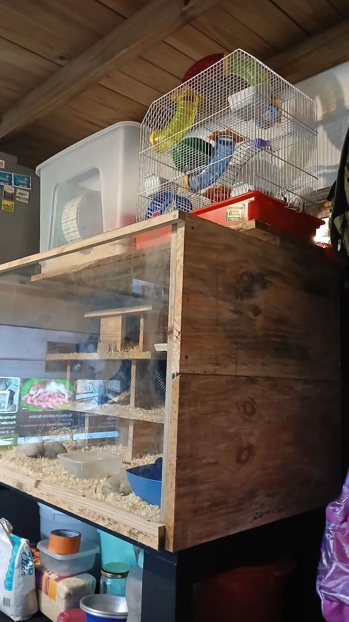 Gaiola Viveiro ternário hamster  - Foto 5