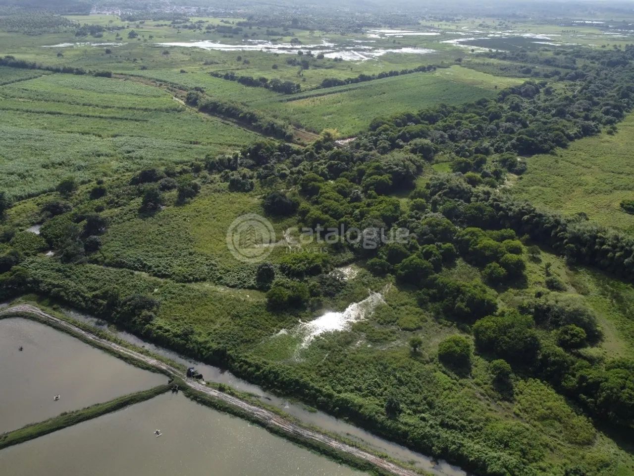 Fazenda de Camarão à Venda - Foto 5
