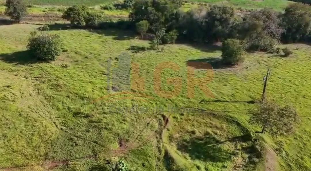 Sítio para Venda em Santa Amélia, Centro - Foto 3