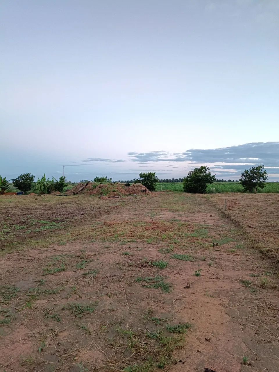 Lotes à venda Próximo a Lagoa do Siri  - Foto 2