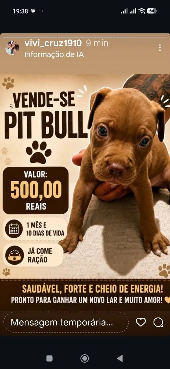 vendo 