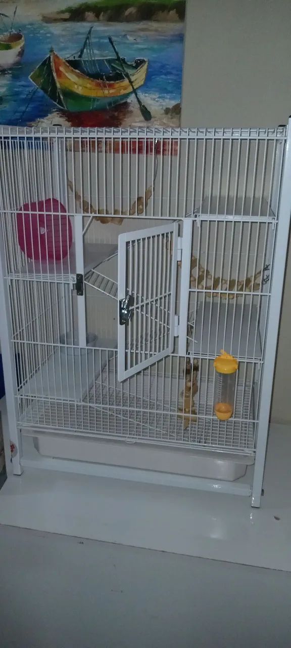 GAIOLA GAIOPAR 295 PARA RATOS TWISTERS - SEMI NOVA - Foto 6