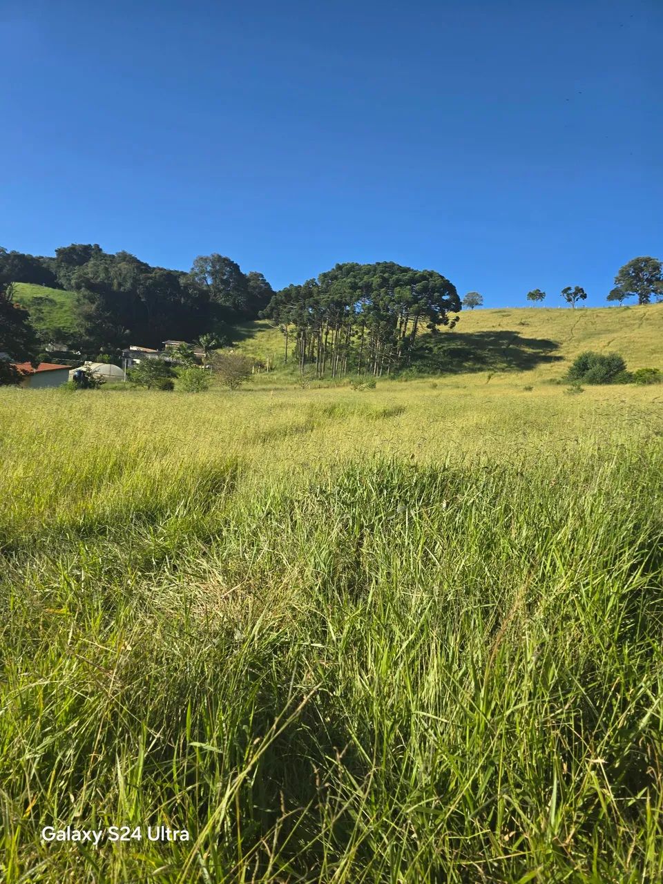 Terreno Bom Jardim  - Foto 4
