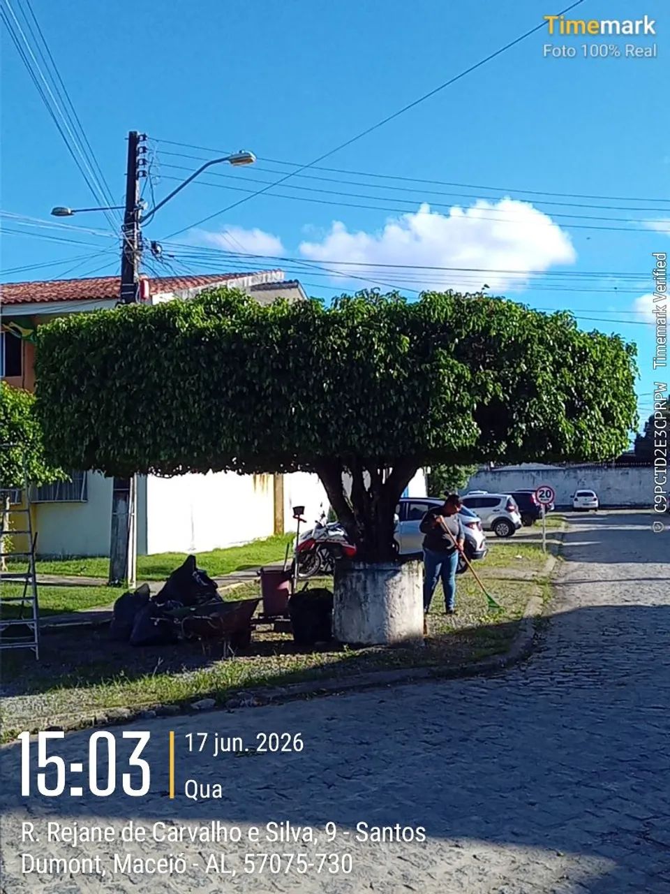 Serviço de jardinagem e podaçao. - Foto 5