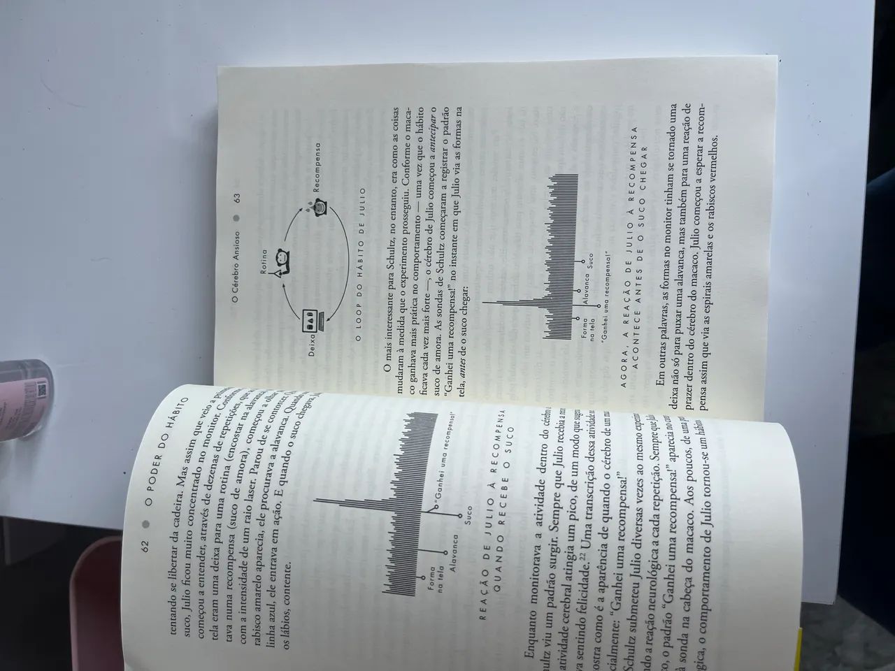 Livro O Poder do Hábito