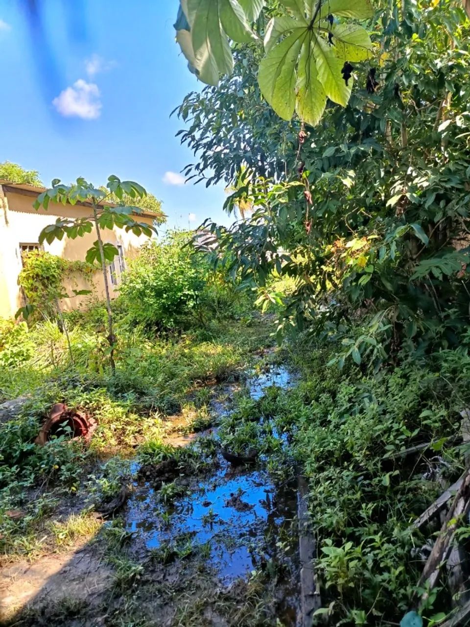 Terreno 4.800m² - Foto 4