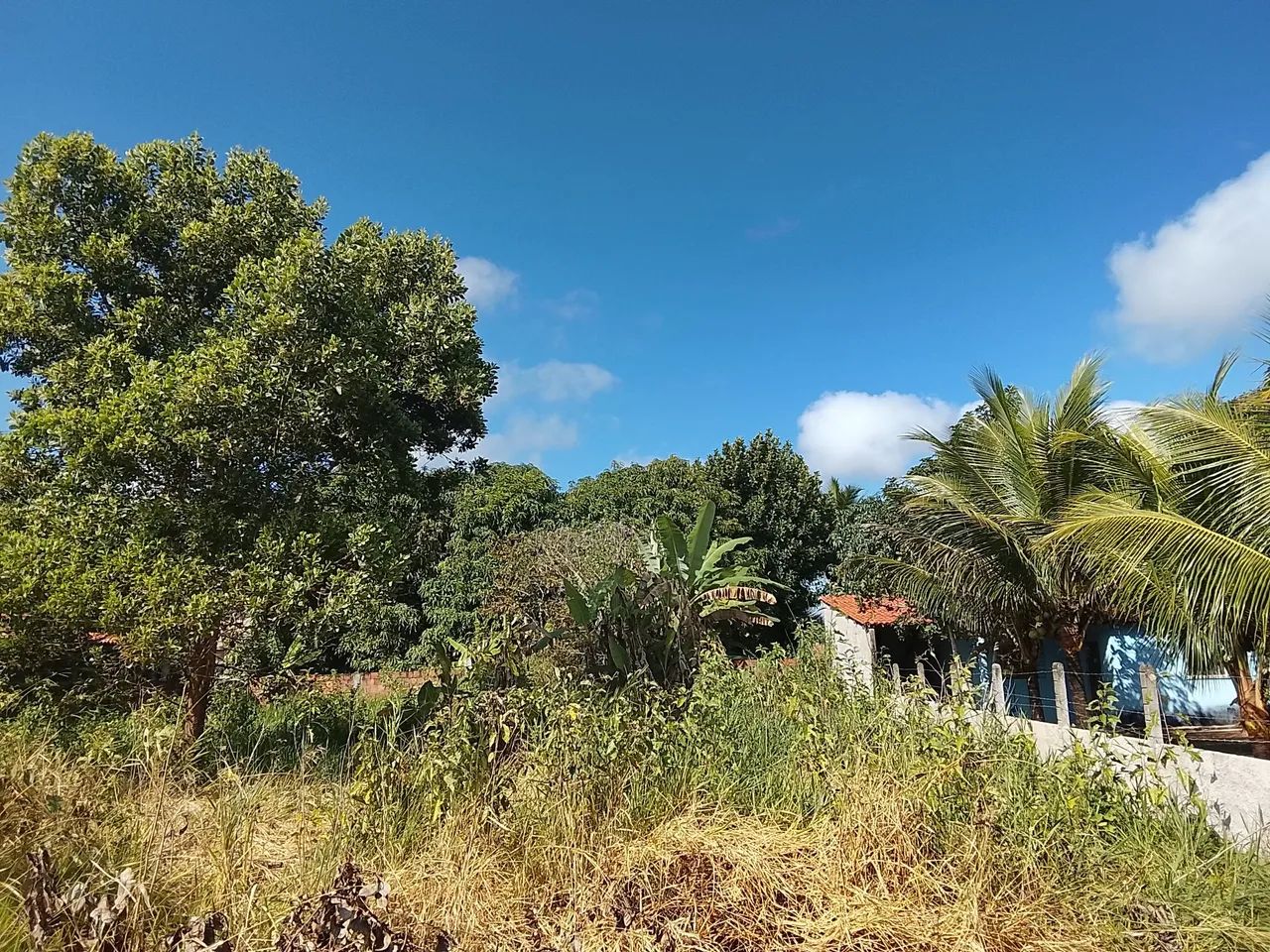 Terreno pra vender 16 500 - Foto 5
