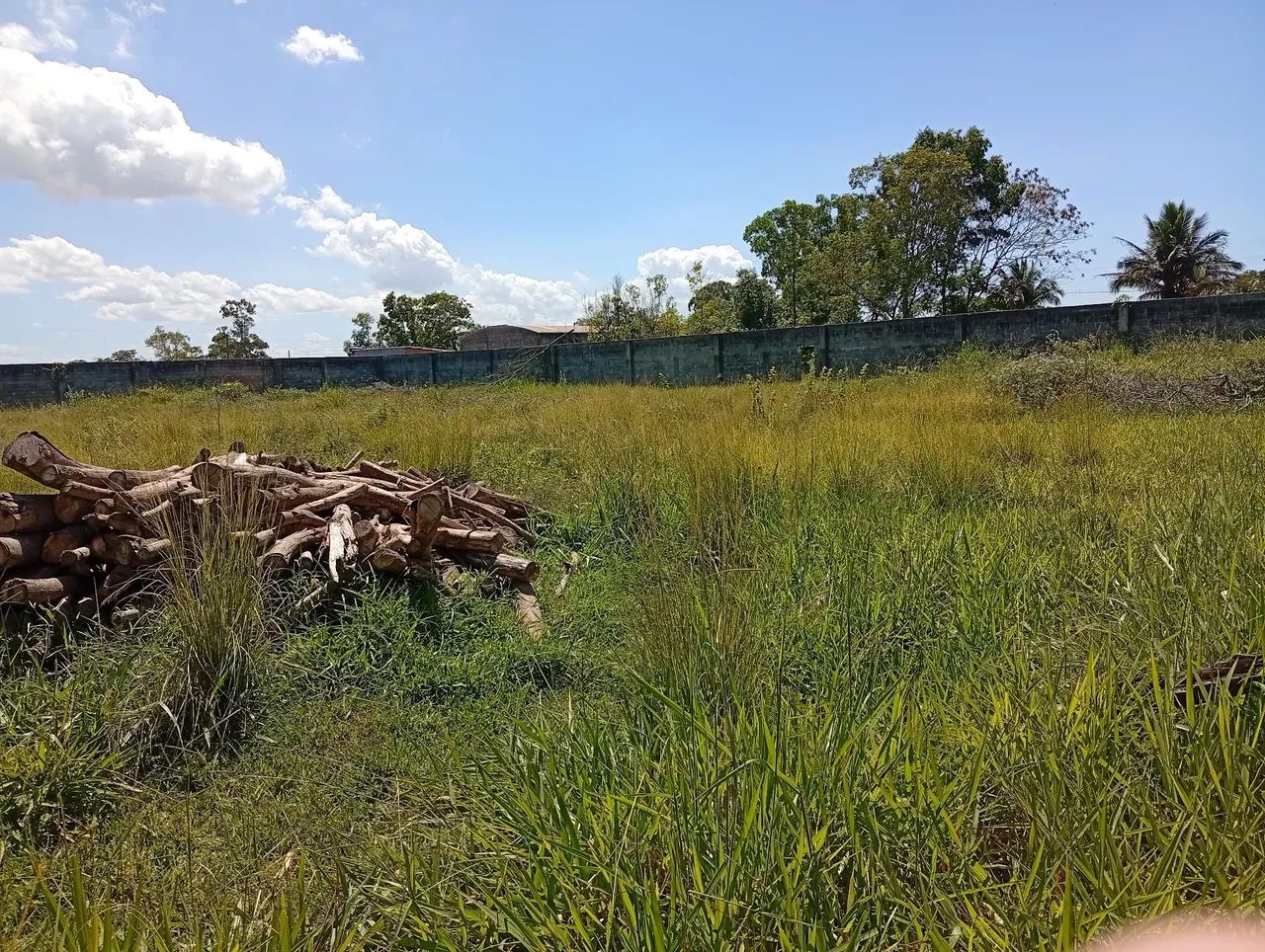 Excelente área com 3600m para vender em Barramares próximo a 388 - Foto 4