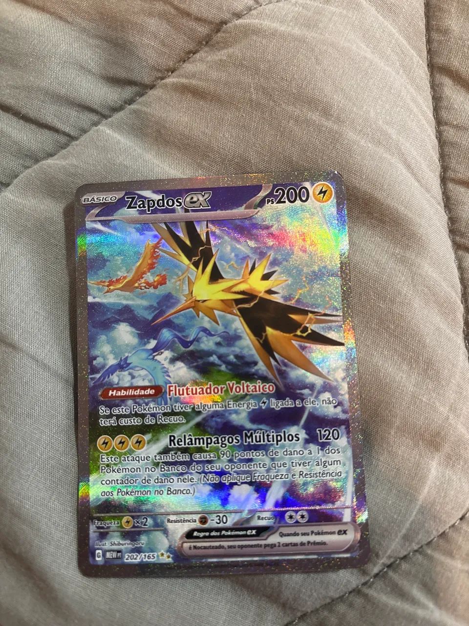 Zapdos ex (202/165)